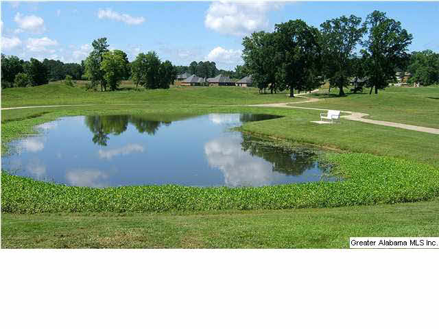 12680 Browne Way, Unit 1003 McCalla, AL 35111 - Photo 16 of 20