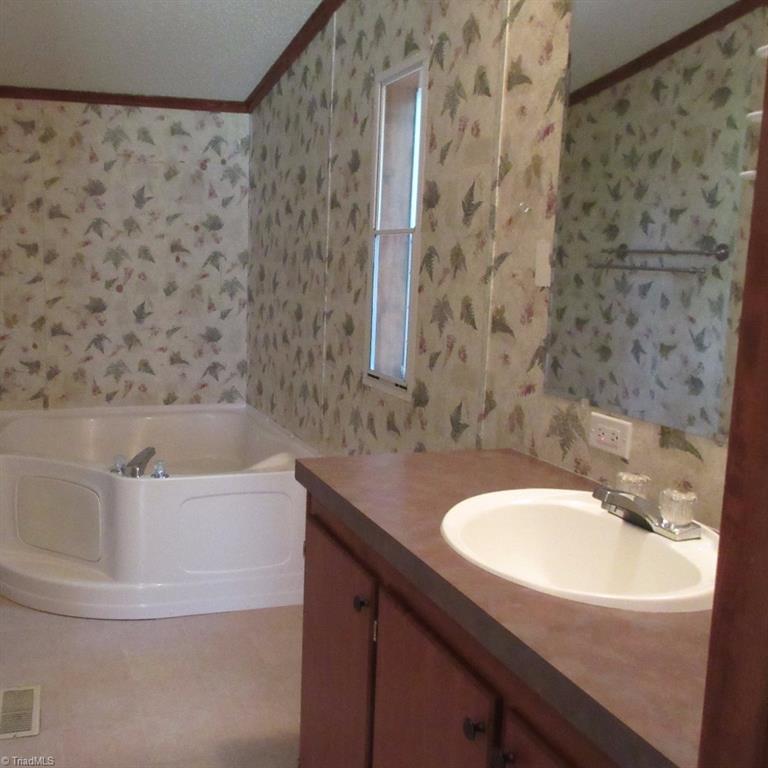 1019 Chisholm Road Ramseur, NC 27316 - Photo 8 of 13 Master Bath, also has separate shower~
