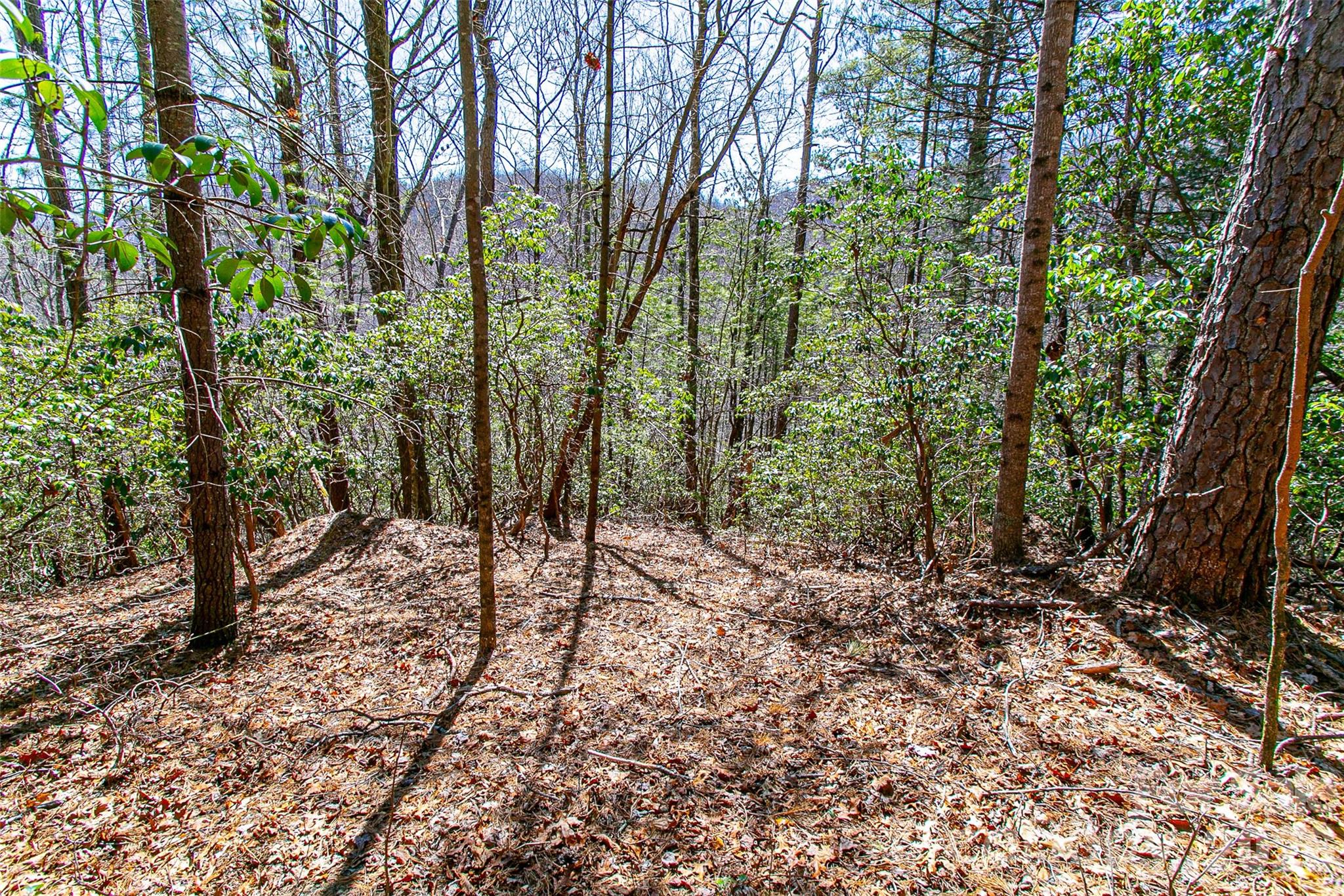 Tbd Still Branch Road, Unit L20 Brevard, NC 28712 - Photo 14 of 26