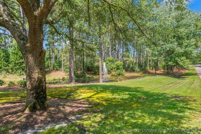 29 Peach Orchard Road Wagram, NC 28396 - Photo 5 of 12 Gallery Image 5