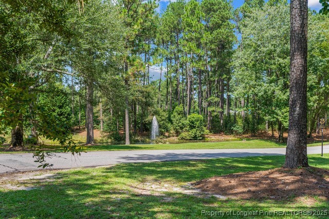 29 Peach Orchard Road Wagram, NC 28396 - Photo 6 of 12 Gallery Image 6