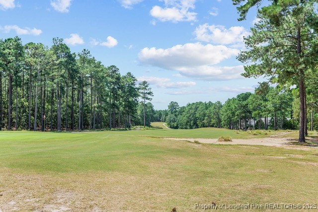 29 Peach Orchard Road Wagram, NC 28396 - Photo 8 of 12 Gallery Image 8