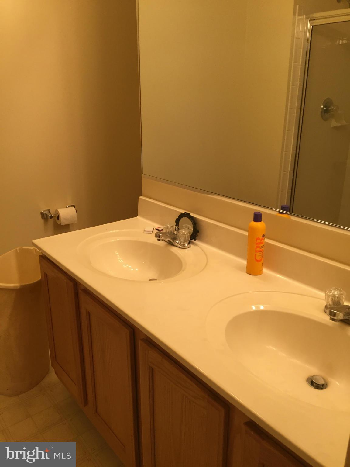 309 Assembly Point Court Odenton, MD 21113 - Photo 23 of 25 a bathroom with a sink and a mirror