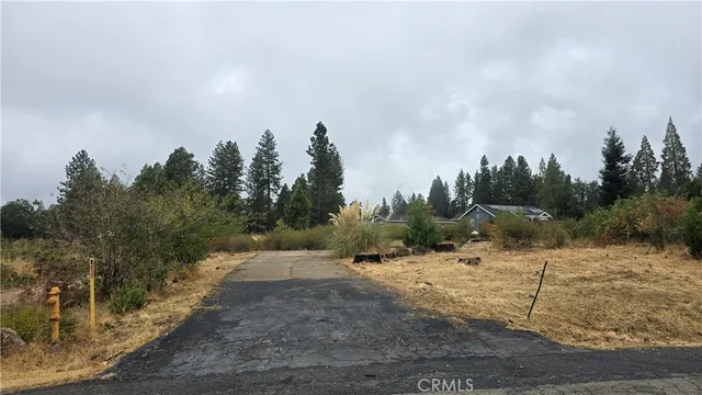 a view of a dry yard with trees