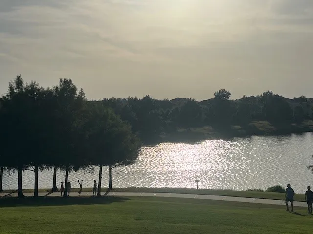 a view of a lake with houses in the back