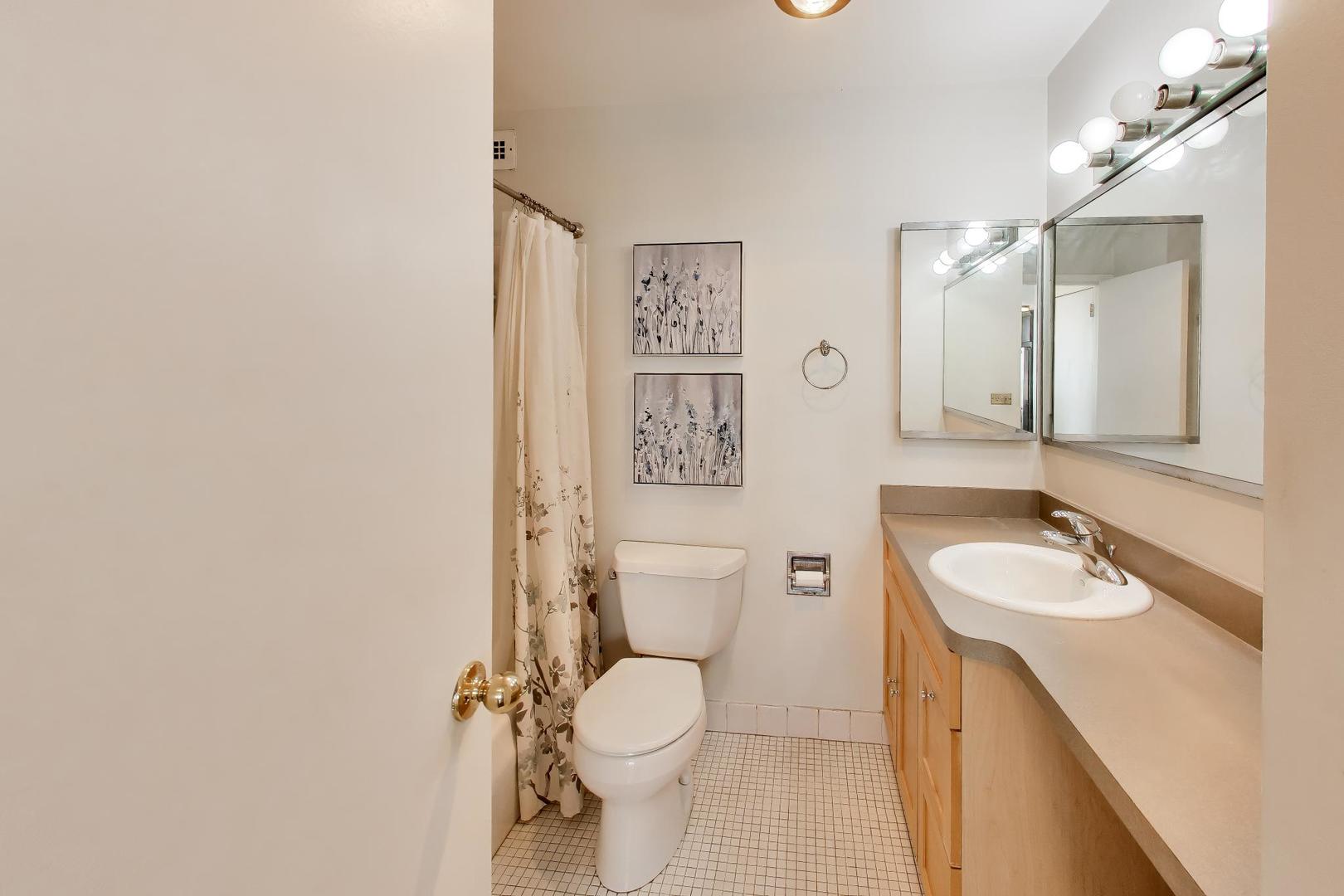 70 West Burton Place, Unit 2103F Chicago, IL 60610 - Photo 11 of 15