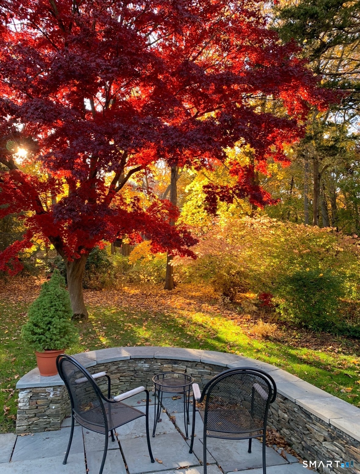 12 Ridgeway Road Easton, CT 06612 - Photo 32 of 38