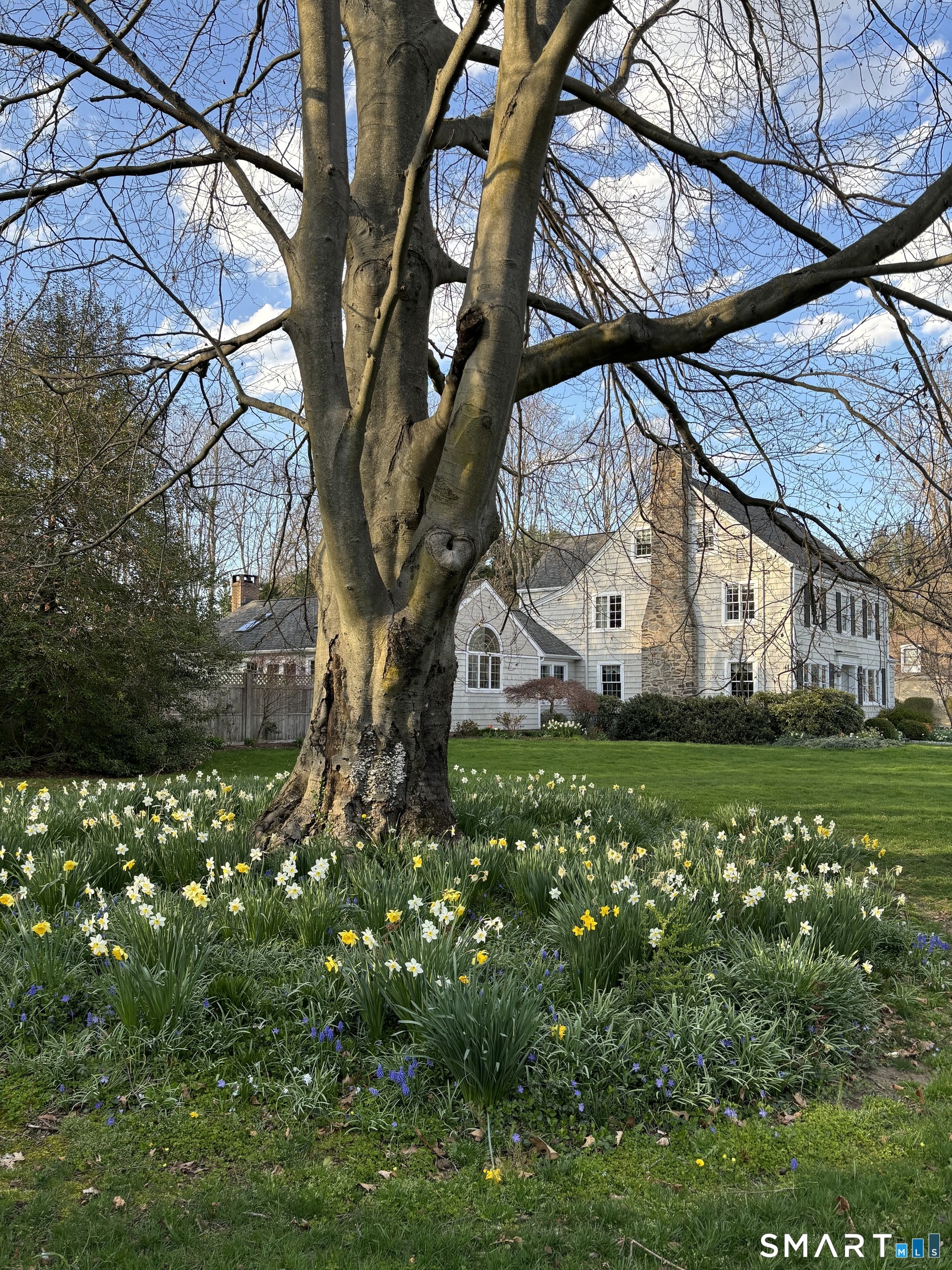 12 Ridgeway Road Easton, CT 06612 - Photo 34 of 38