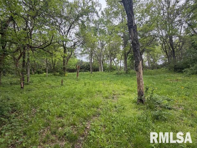 4231 Stone Road Springfield, IL 62707 - Photo 80 of 85