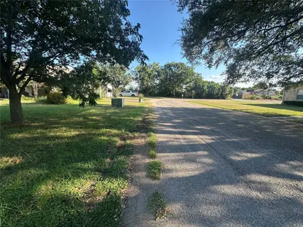a view of a yard with large trees
