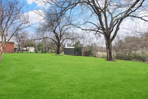 a view of a trees with a yard