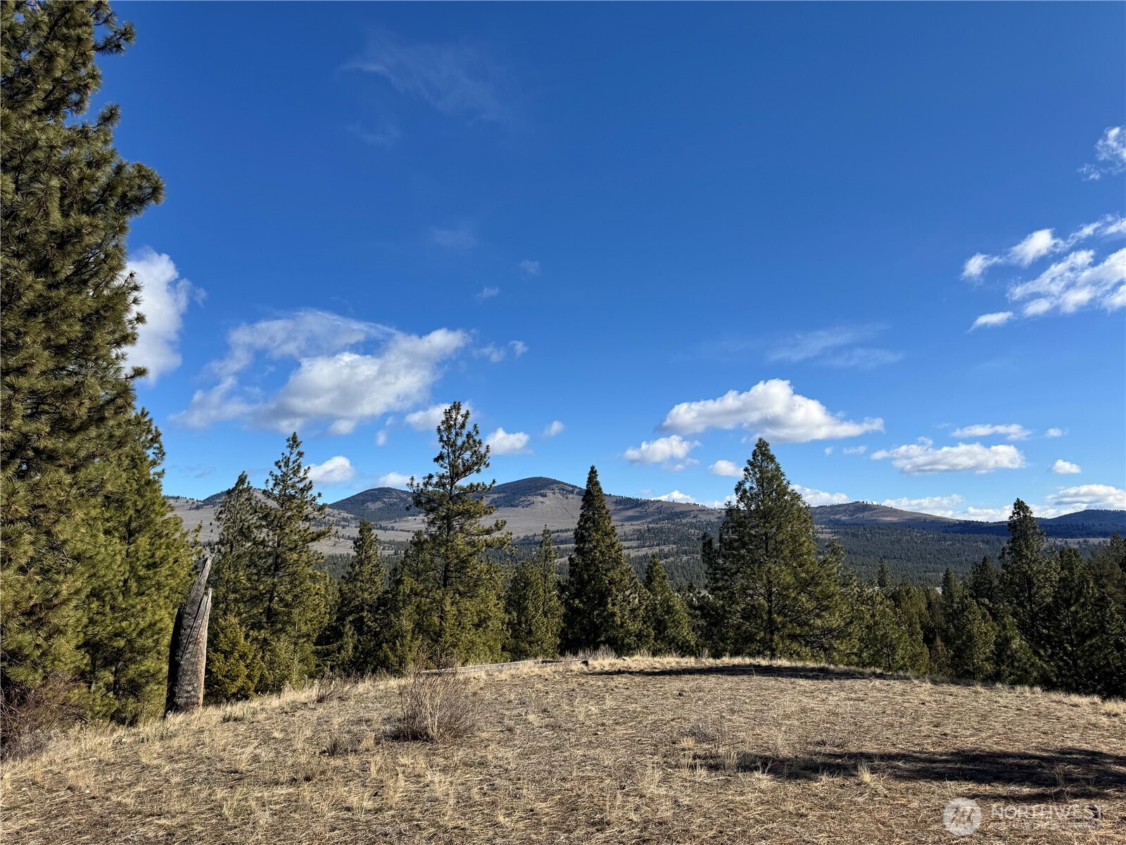 79 Bench Creek Road Tonasket, WA 98855 - Photo 17 of 20