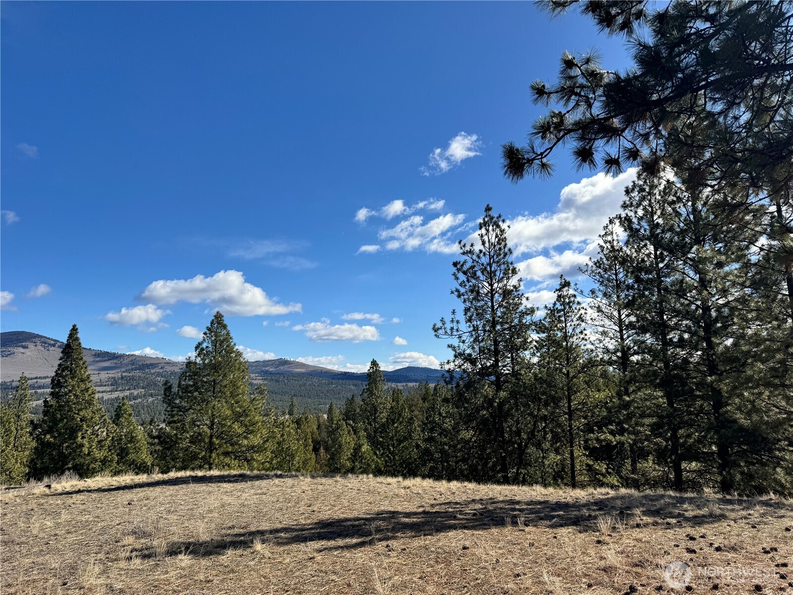 79 Bench Creek Road Tonasket, WA 98855 - Photo 18 of 20