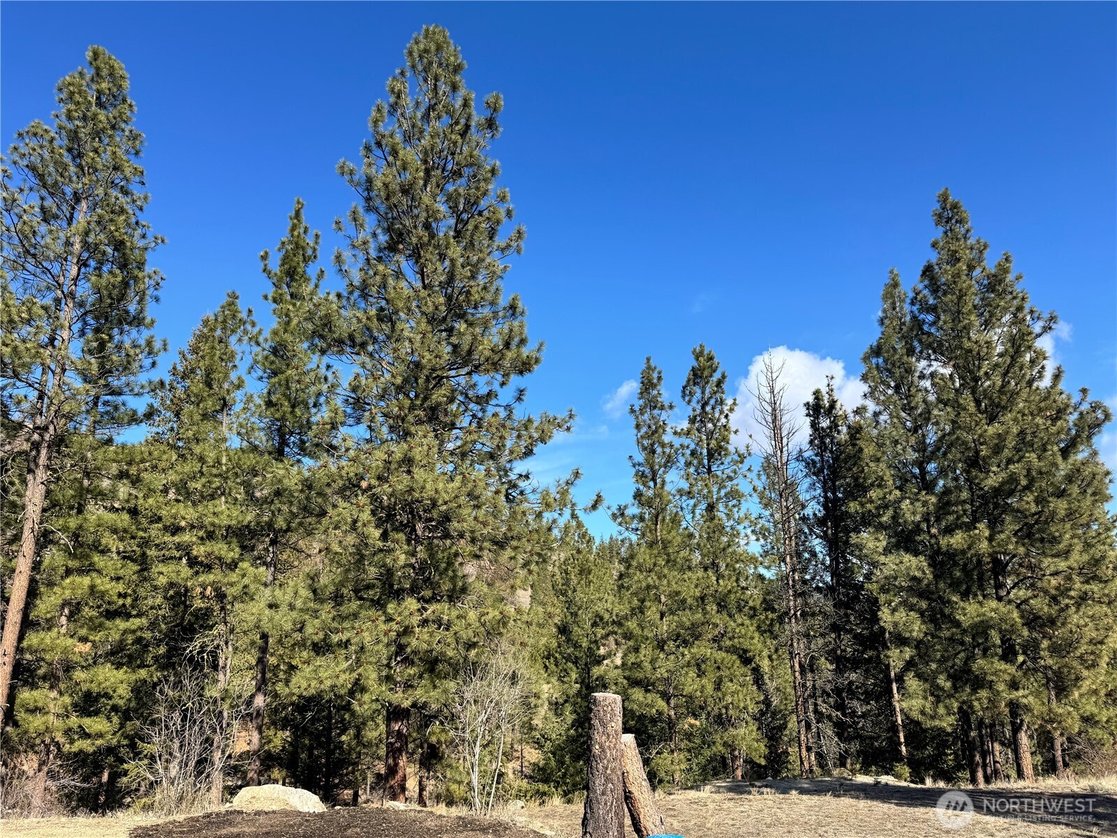 79 Bench Creek Road Tonasket, WA 98855 - Photo 19 of 20