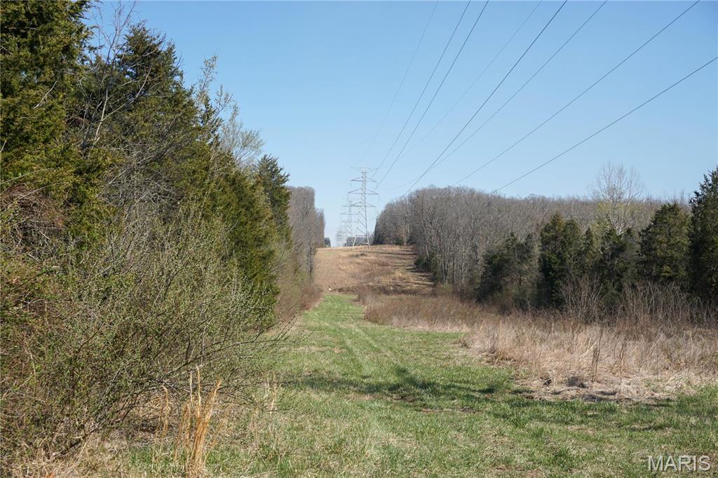 0 Dillon Outer Road St. James, MO 65559 - Photo 3 of 8