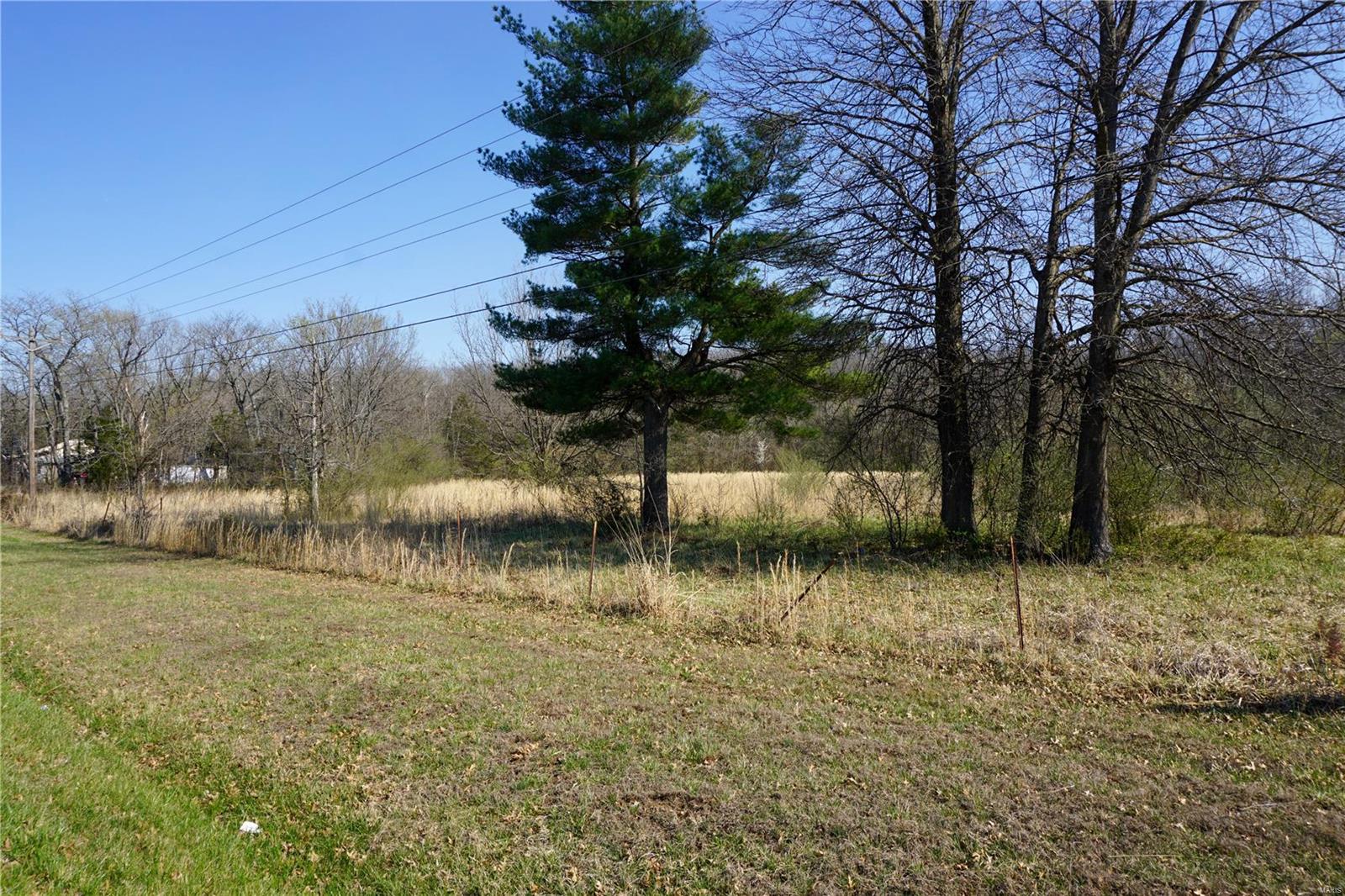 0 Dillon Outer Road St. James, MO 65559 - Photo 4 of 8