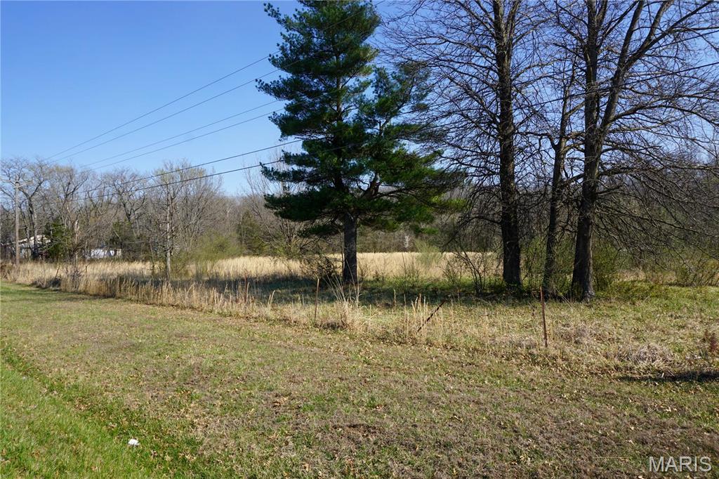 0 Dillon Outer Road St. James, MO 65559 - Photo 4 of 8