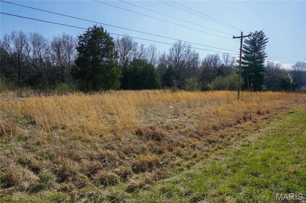 0 Dillon Outer Road St. James, MO 65559 - Photo 5 of 8