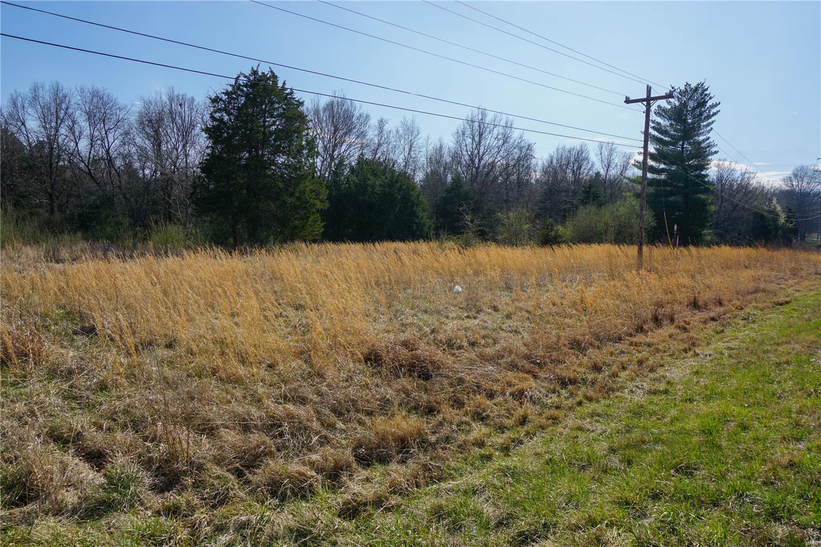 0 Dillon Outer Road St. James, MO 65559 - Photo 5 of 8