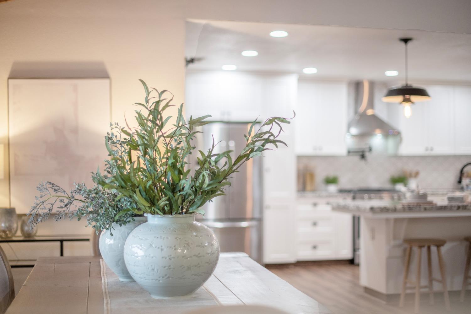 25390 White Thorne Road Clovis, CA 93619 - Photo 3 of 50 a view of a living room and a potted plant