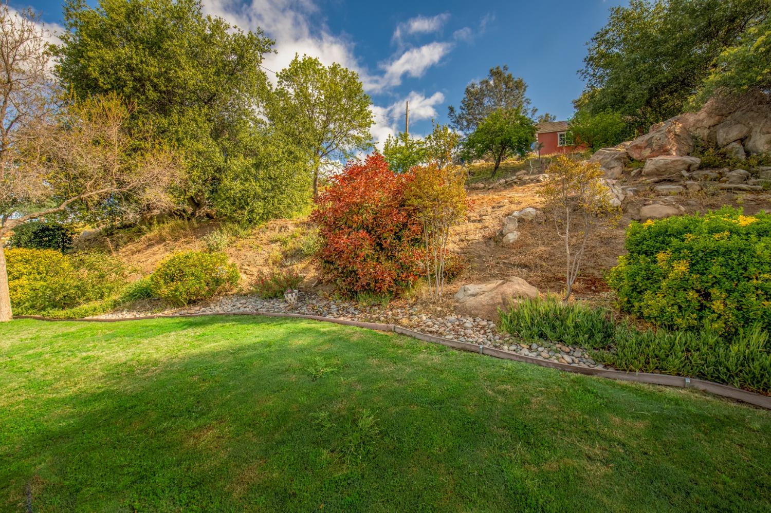 25390 White Thorne Road Clovis, CA 93619 - Photo 39 of 50 a view of yard with green space and trees all around