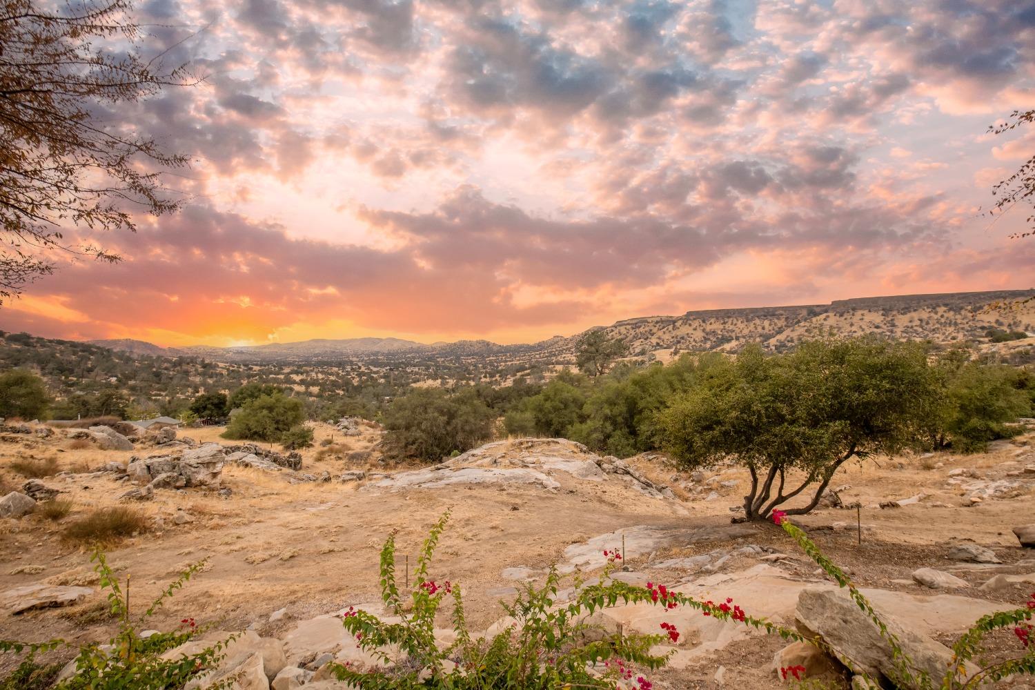 25390 White Thorne Road Clovis, CA 93619 - Photo 45 of 50 a view of a dry yard with mountains in the background