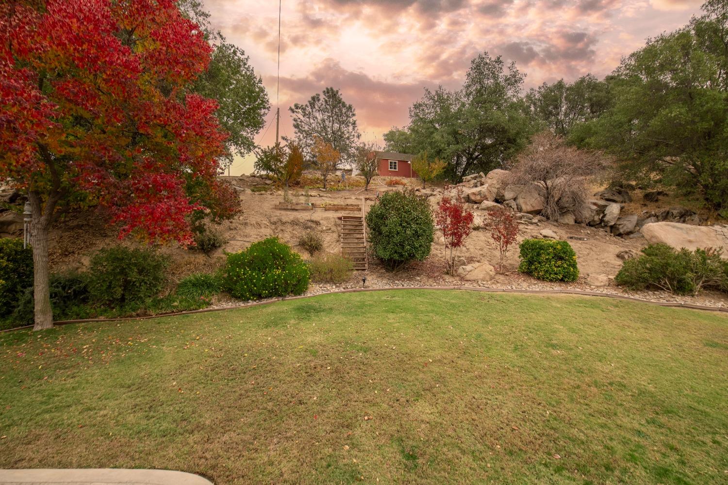 25390 White Thorne Road Clovis, CA 93619 - Photo 46 of 50 a view of a field with an trees