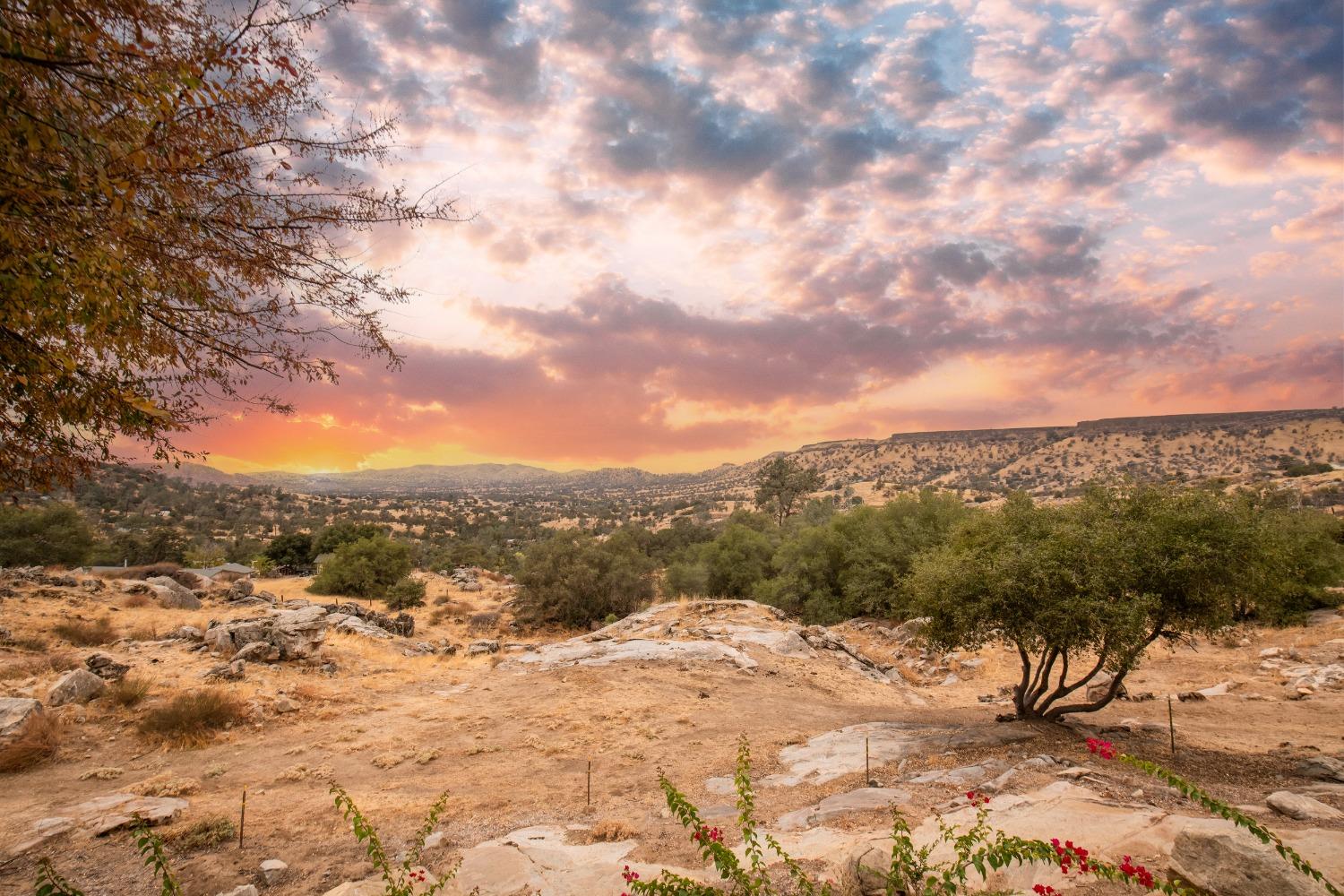 25390 White Thorne Road Clovis, CA 93619 - Photo 49 of 50 a view of a dry yard