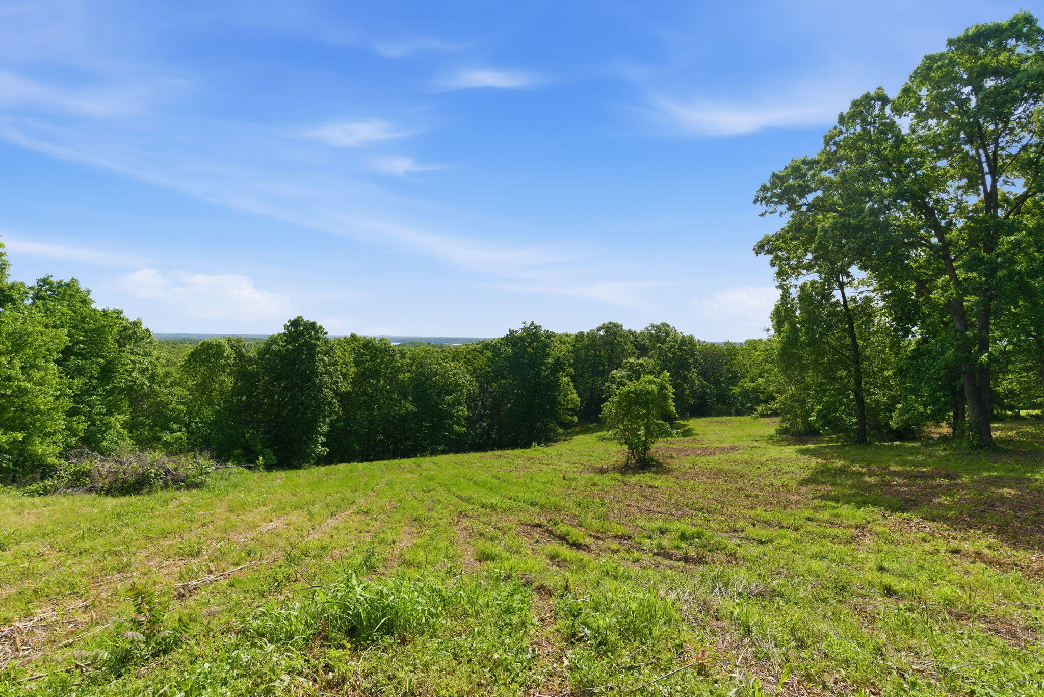 0 1481 Road Stockton, MO 65785 - Photo 5 of 14 3-web-or-mls-HWJ00668