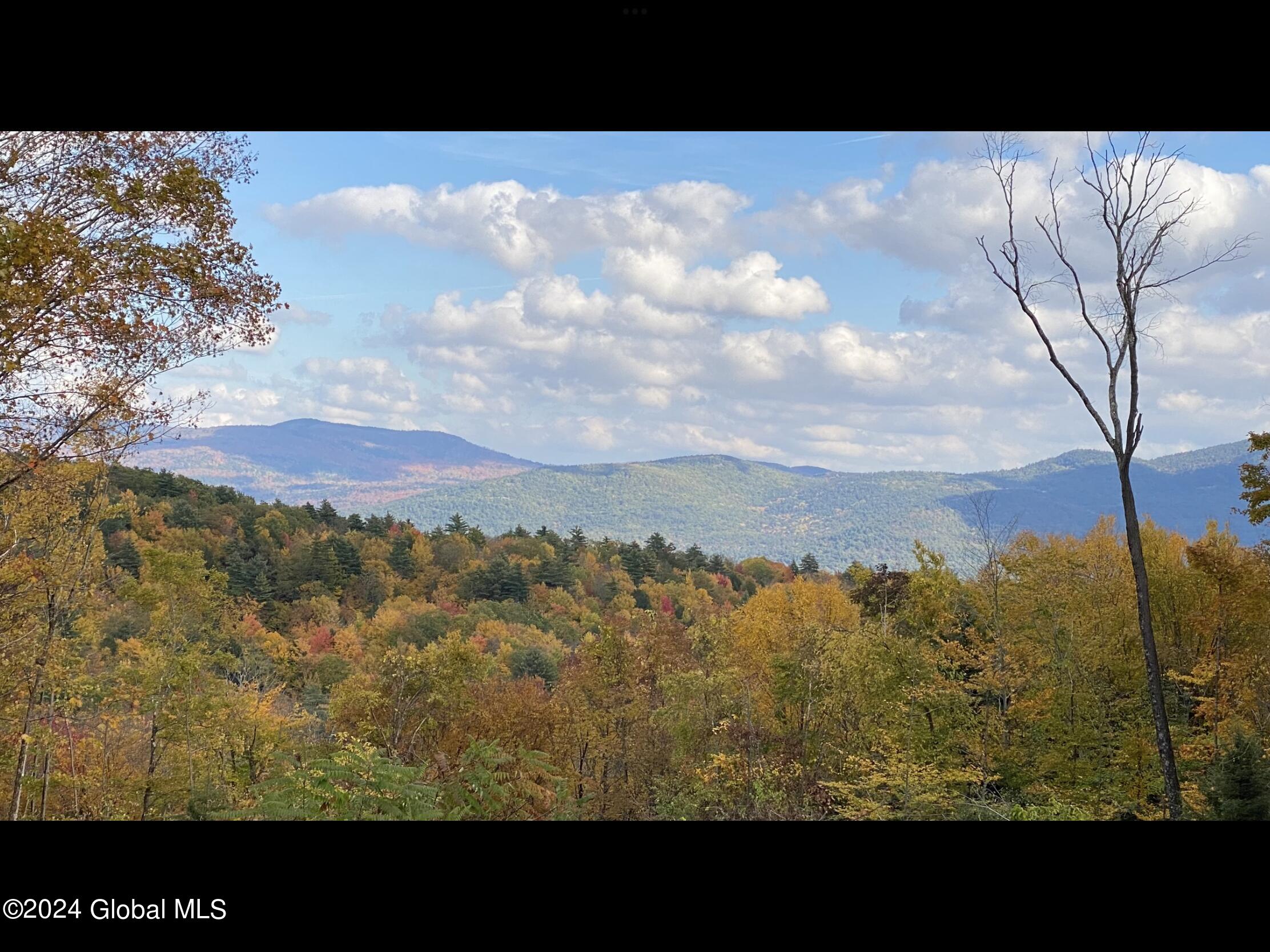 756 Coolidge Hill Road Bolton, NY 12824 - Photo 4 of 15 fall view 1