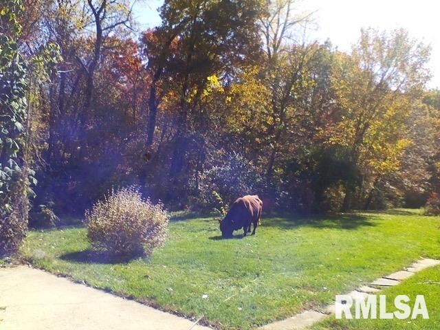27812 North Karrick Road Glasford, IL 61533 - Photo 37 of 37