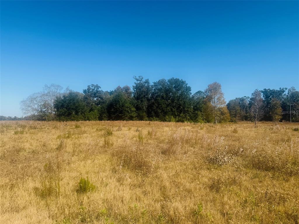 11822 153rd Road Live Oak, FL 32060 - Photo 4 of 20