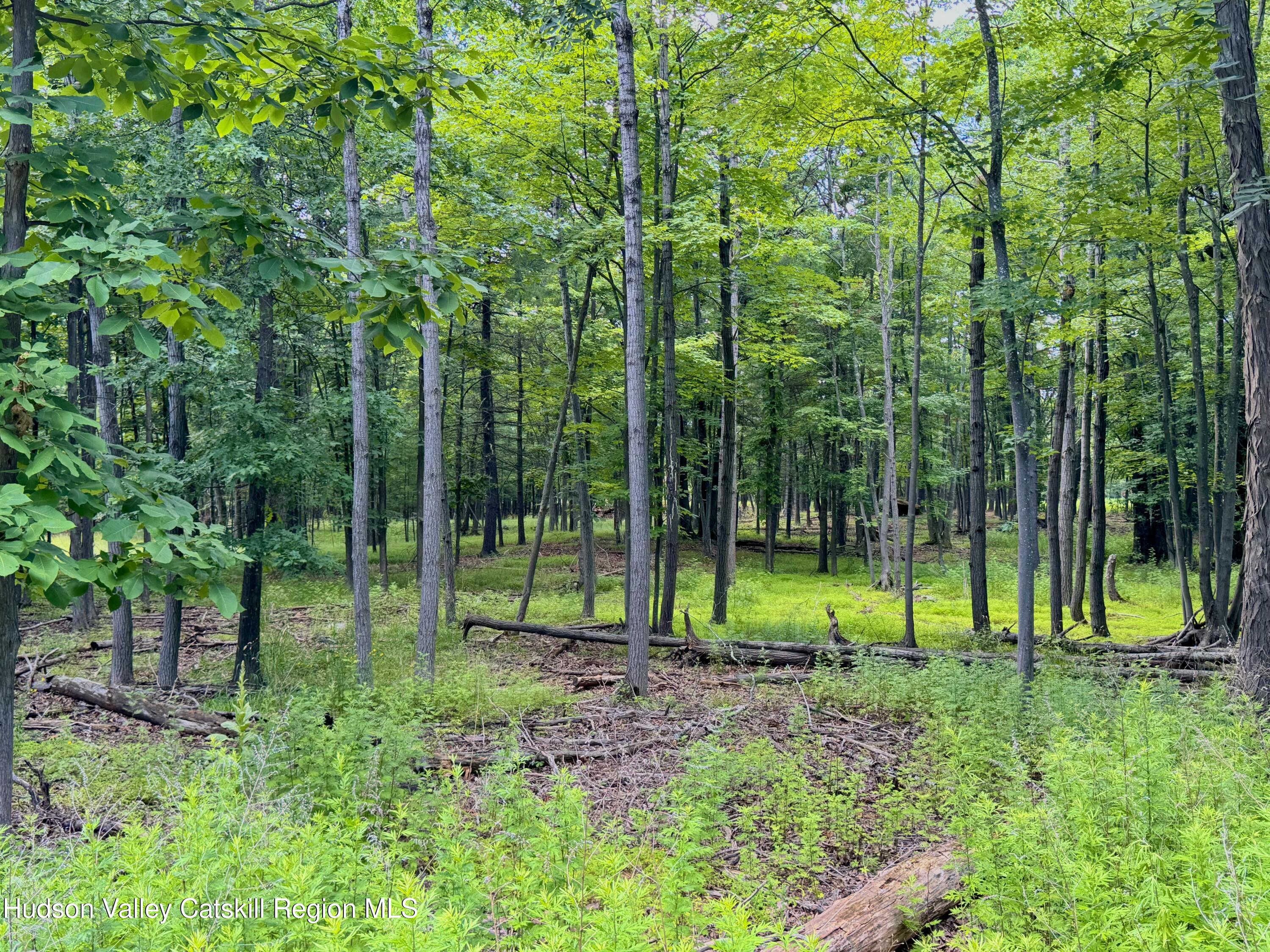 334 Pollys Rock Road Round Top, NY 12473 - Photo 5 of 11 5