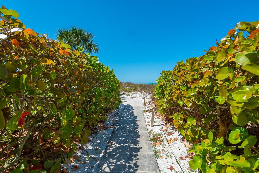 6285 Midnight Pass Road, Unit 406 Sarasota, FL 34242 - Photo 54 of 63