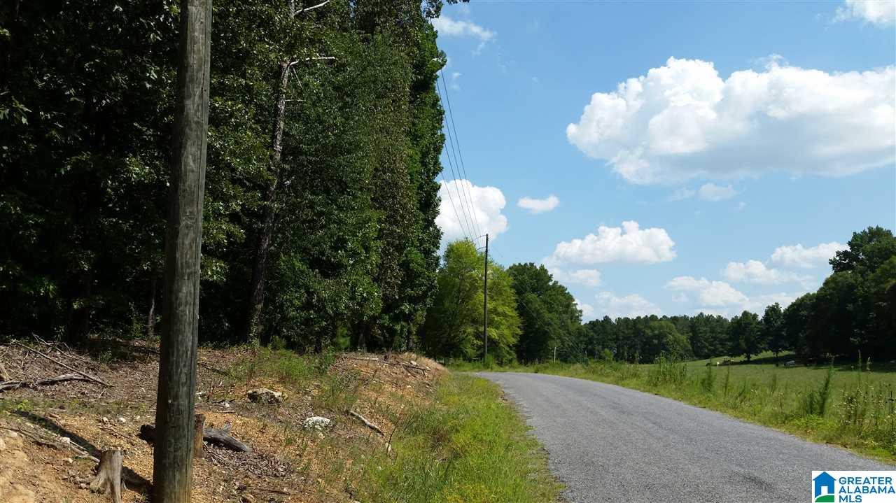 1885 Brooks Lake Road Lincoln, AL 35096 - Photo 4 of 30