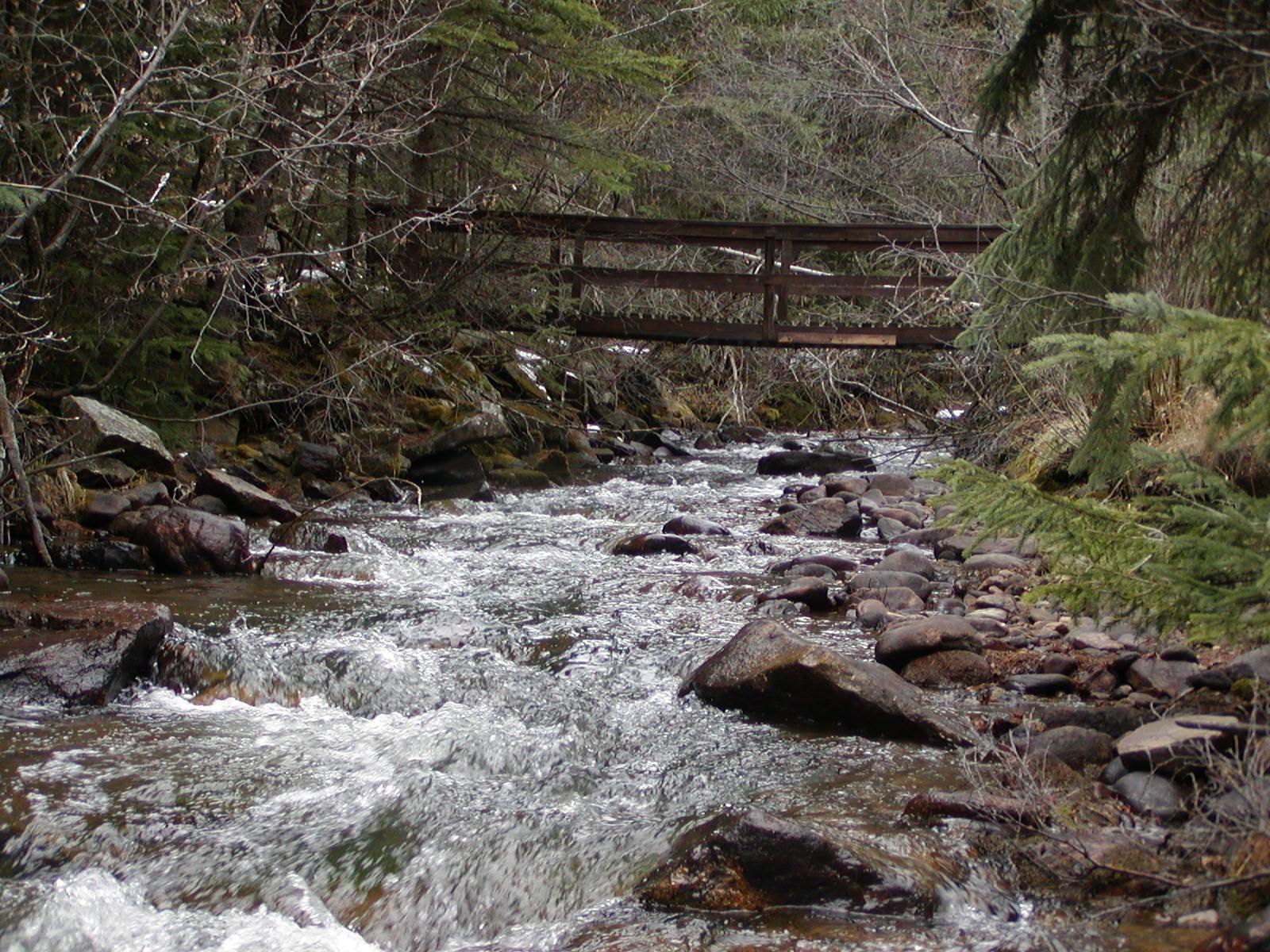 1595 Fall River Road Idaho Springs, CO 80452 - Photo 1 of 1 Gallery Image 1