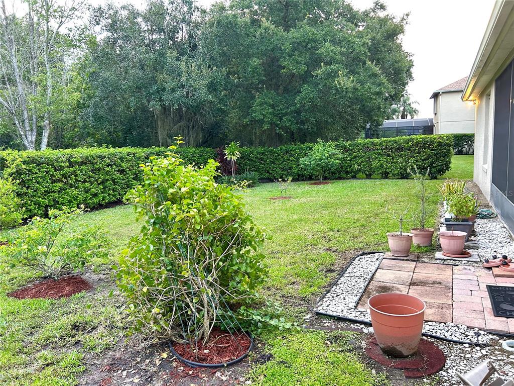 856 Timber Isle Drive Orlando, FL 32828 - Photo 38 of 46