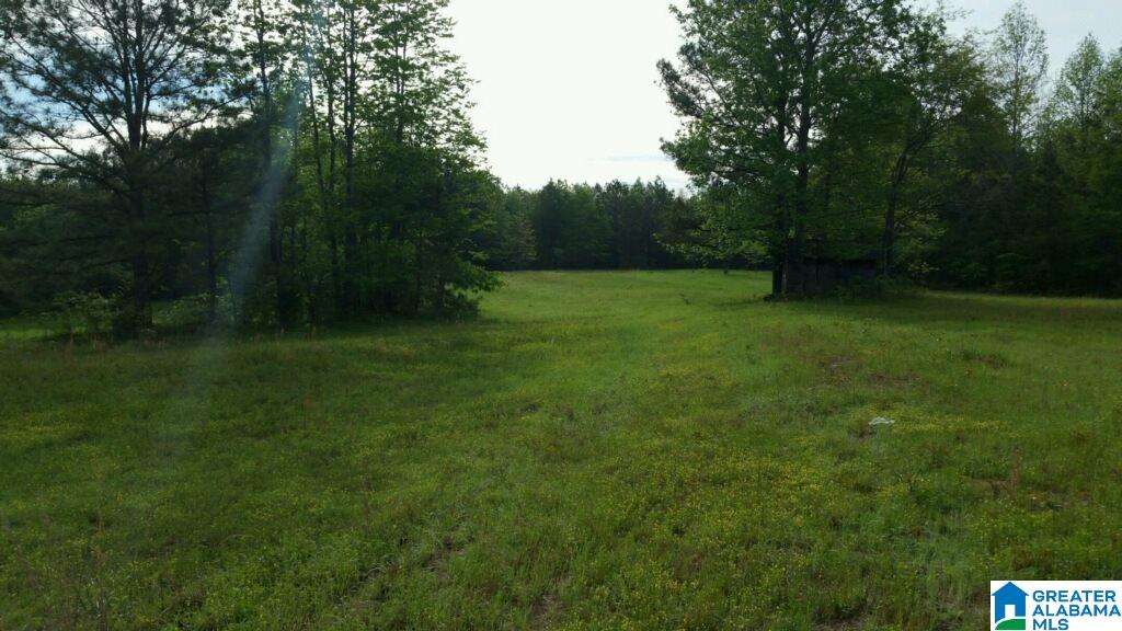 0 Elam School House Road, Unit 36 ACRES Brent, AL 35034 - Photo 6 of 7