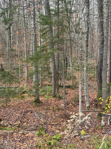 $49,000 | 0 Hawk Spur Road, Plymouth, VT 05056