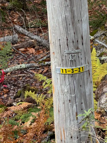 $49,000 | 0 Hawk Spur Road, Plymouth, VT 05056