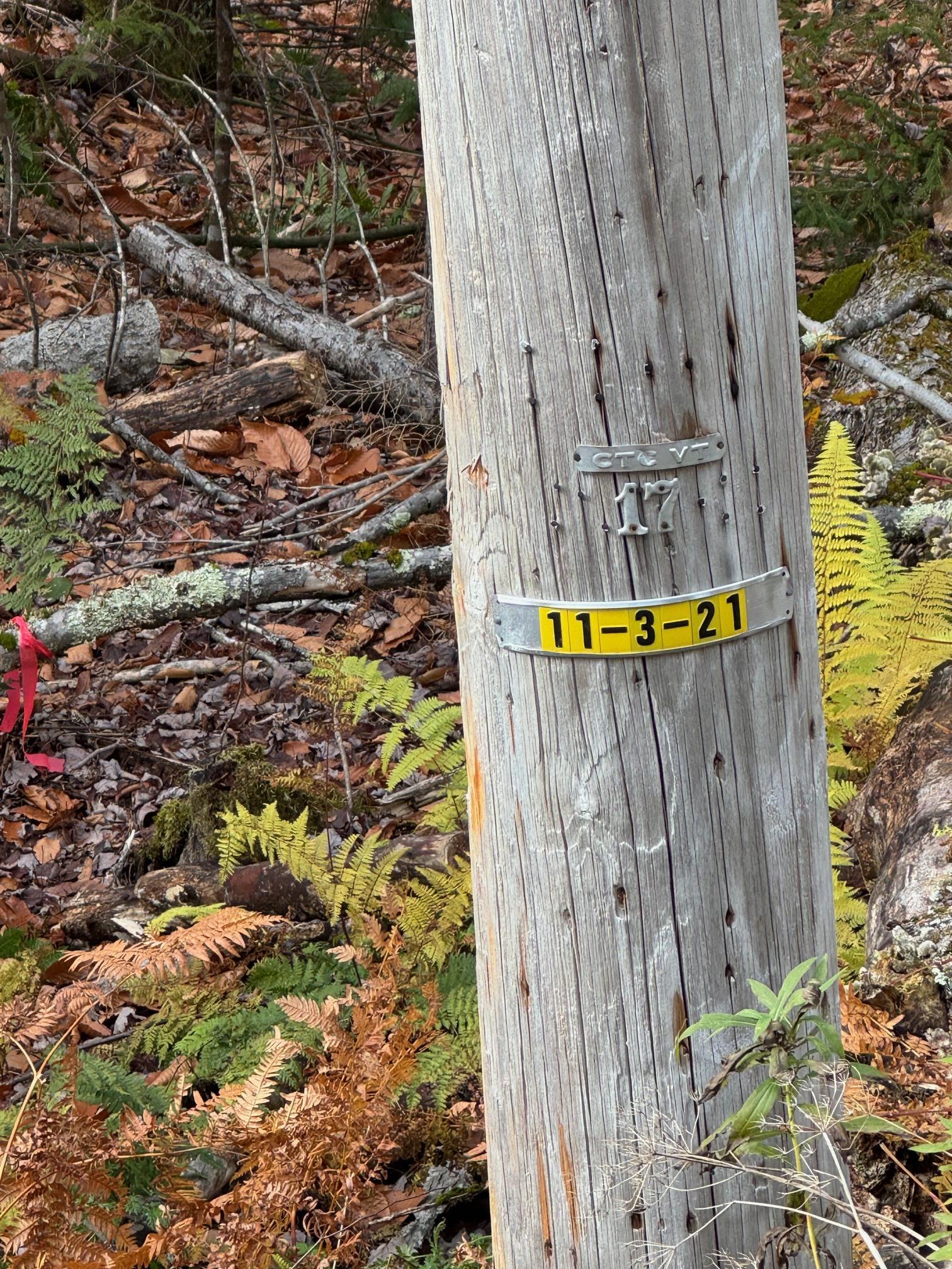 0 Hawk Spur Road Plymouth, VT 05056 - Photo 5 of 9