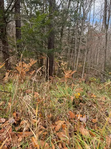 $49,000 | 0 Hawk Spur Road, Plymouth, VT 05056