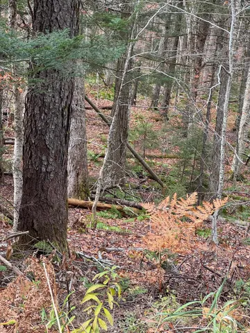 $49,000 | 0 Hawk Spur Road, Plymouth, VT 05056