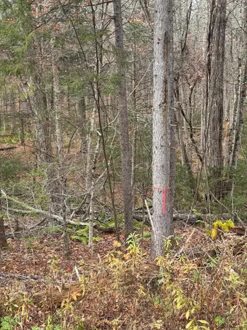 $49,000 | 0 Hawk Spur Road, Plymouth, VT 05056