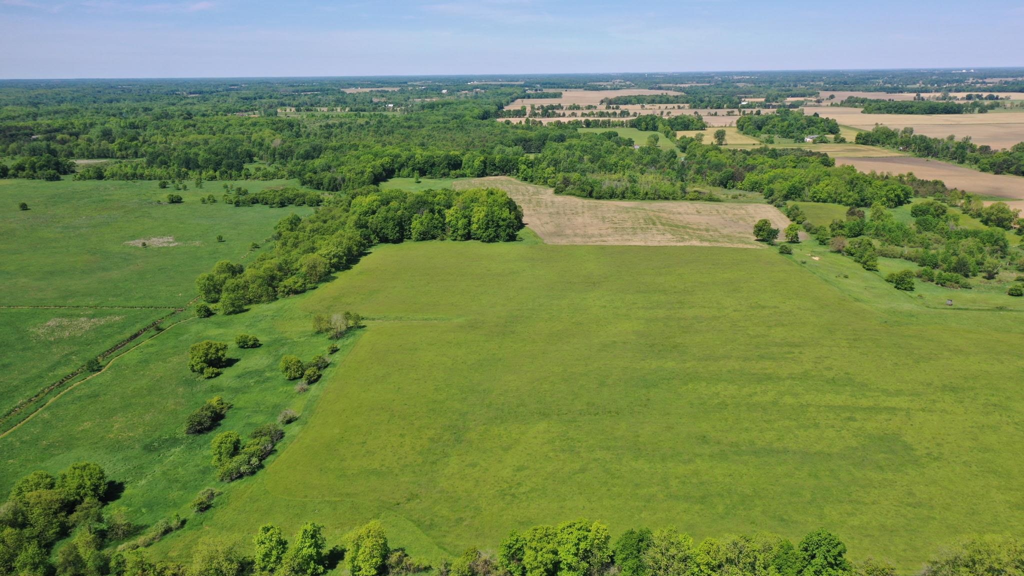 8680 Parks Road Ovid, MI 48866 - Photo 40 of 49