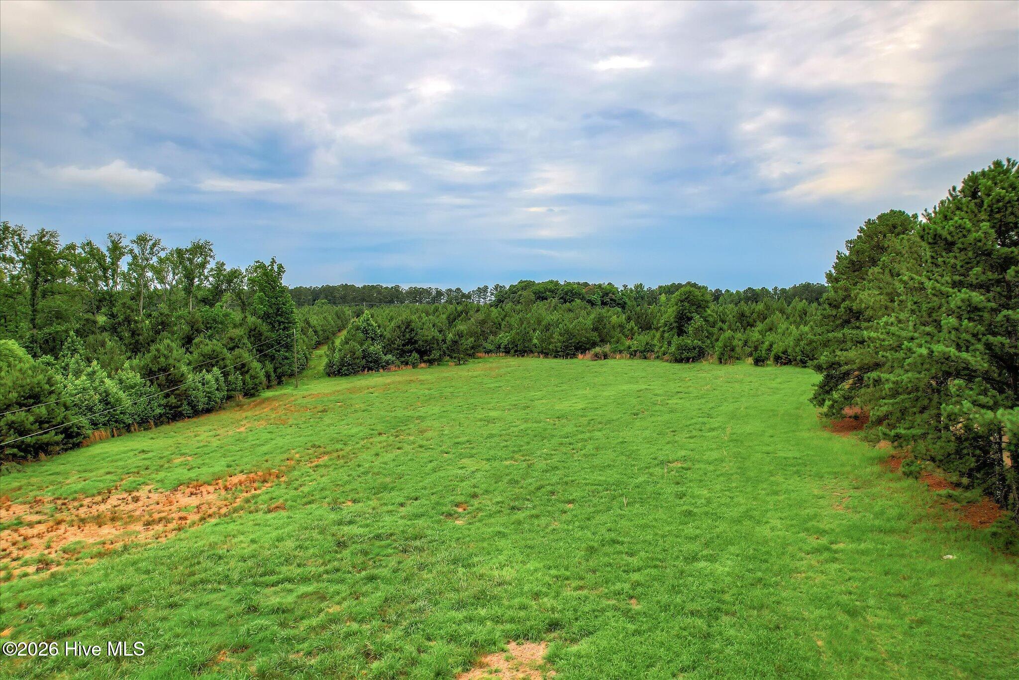 1908 Simons Road Thomson, GA 30824 - Photo 5 of 16