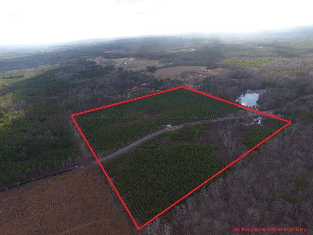 Ripley Road Carbon Hill, AL 35549 - Photo 2 of 4 Gallery Image 2