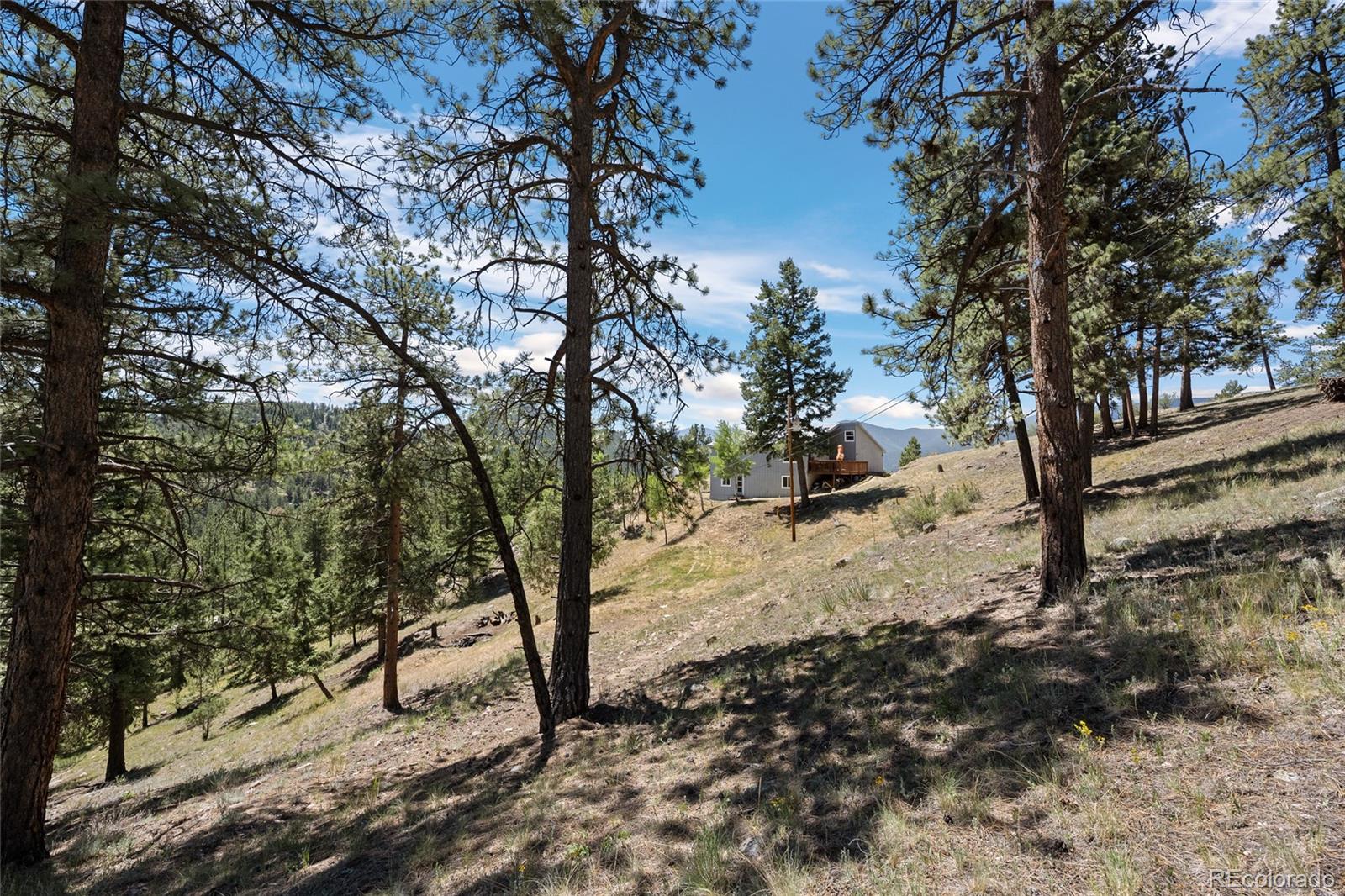 1729 Crow Valley Road Bailey, CO 80421 - Photo 11 of 49