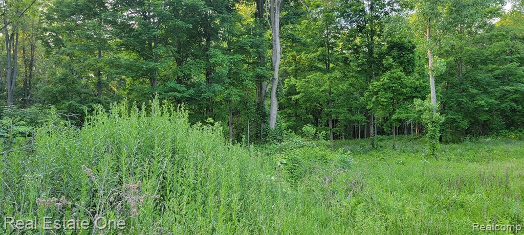 Parcel B McClements Road Brighton, MI 48114 - Photo 5 of 8