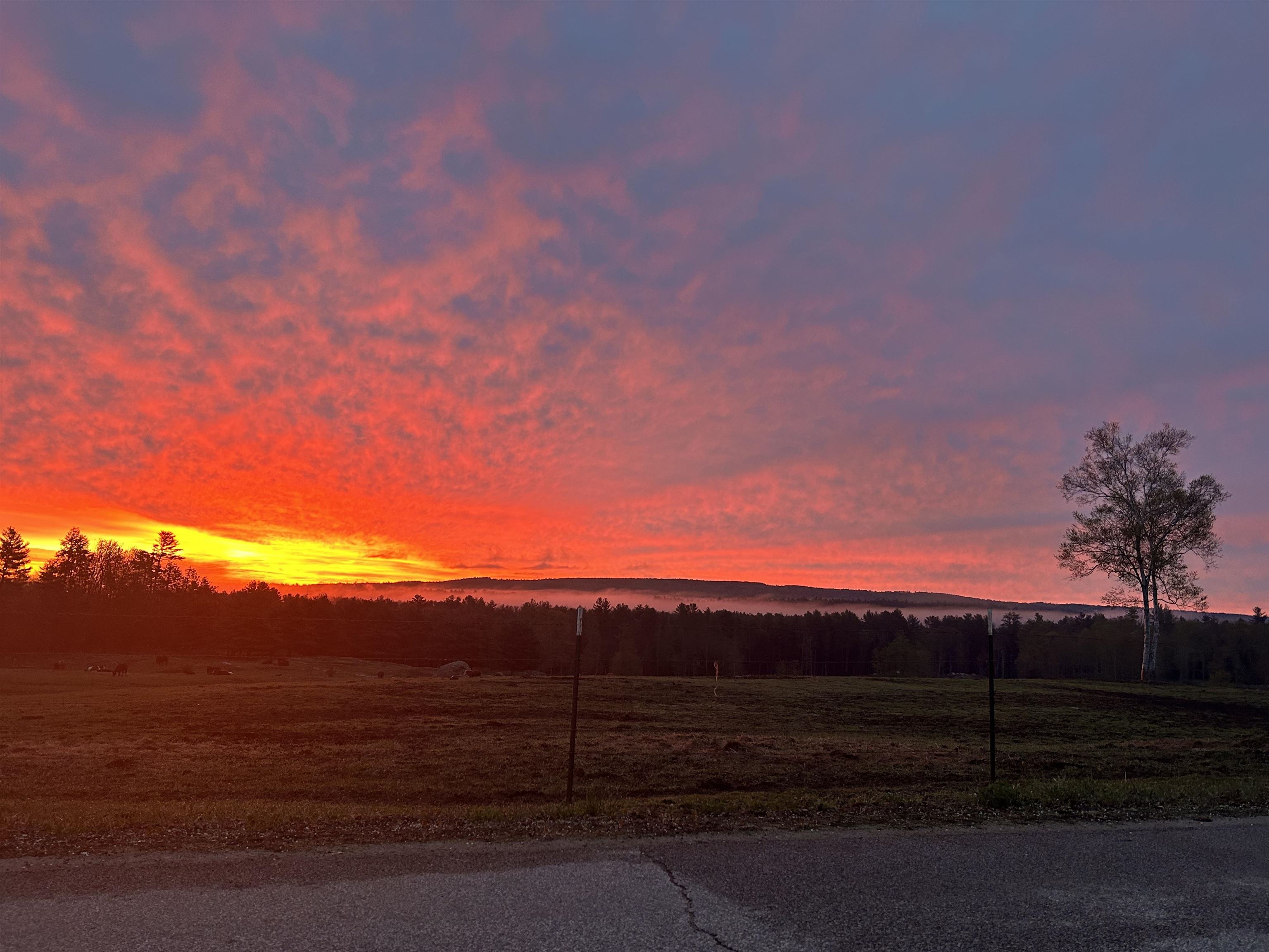 352 South Sugar Hill Road Weare, NH 03281 - Photo 42 of 42